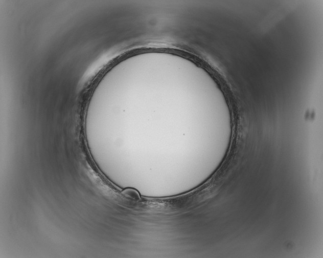 X0000114001456200910231741