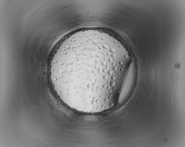 X0000114001457200910231741