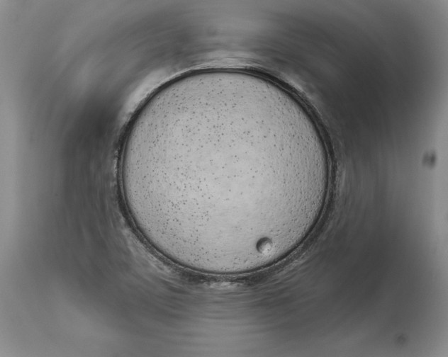 X0000114001459200910231741