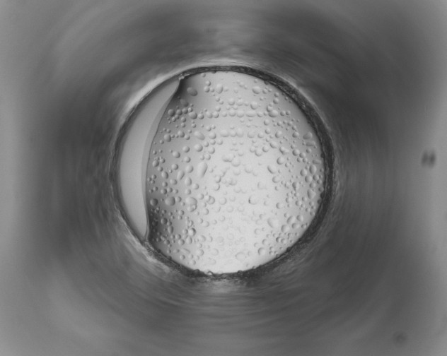 X0000114001460200910231741