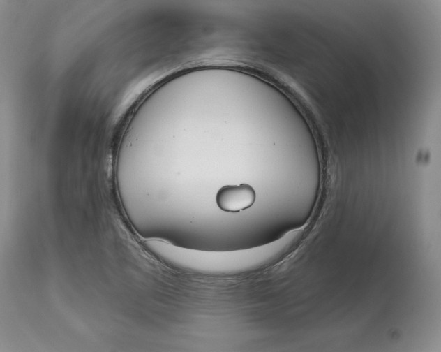 X0000114001461200910231741