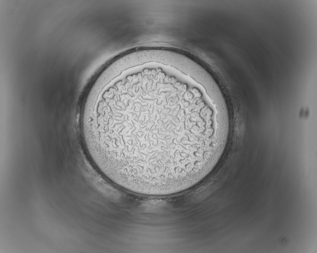 X0000114001462200910231741