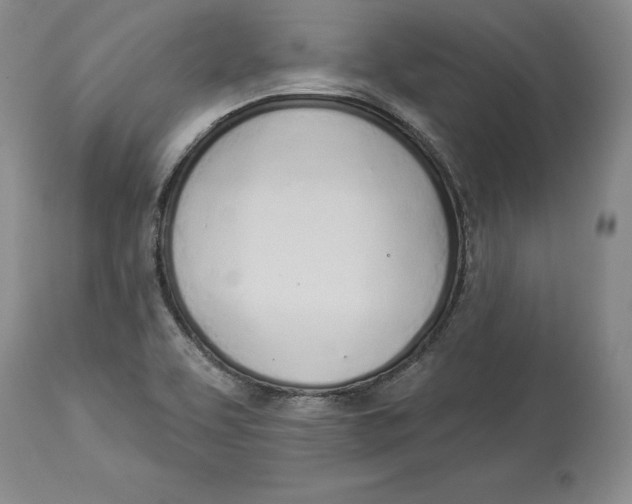 X0000114001463200910231741