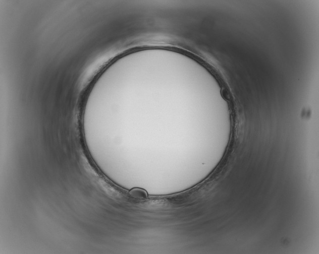 X0000114001464200910231741