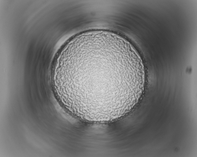 X0000114001466200910231741