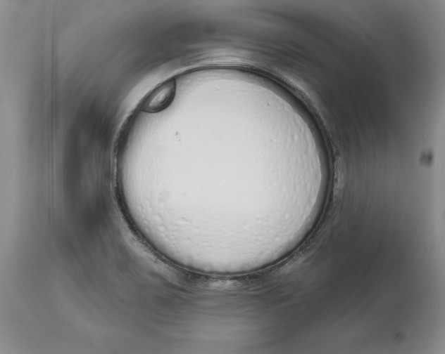 X0000114001467200910231741