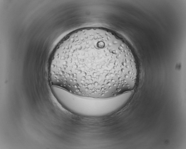 X0000114001468200910231741
