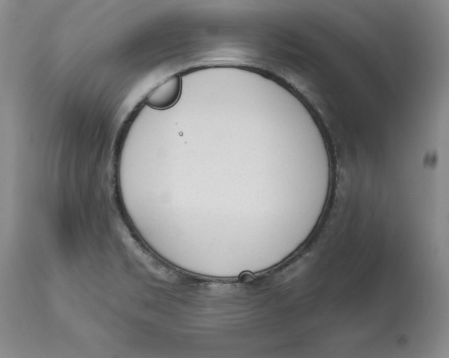 X0000114001469200910231741