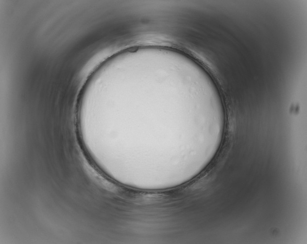 X0000114001471200910231741