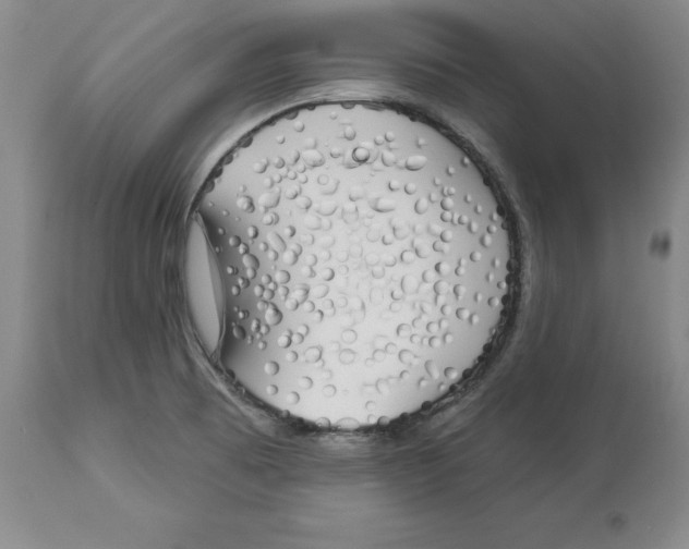 X0000114001473200910231741