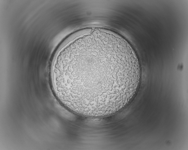 X0000114001474200910231741