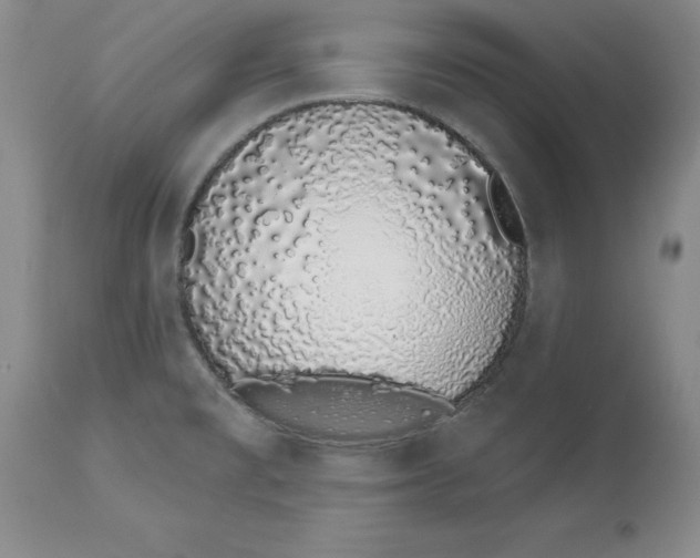 X0000114001477200910231741