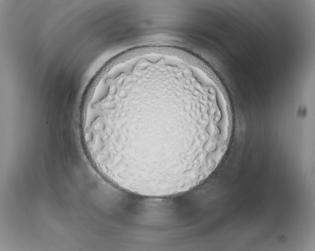 X0000114001478200910231741