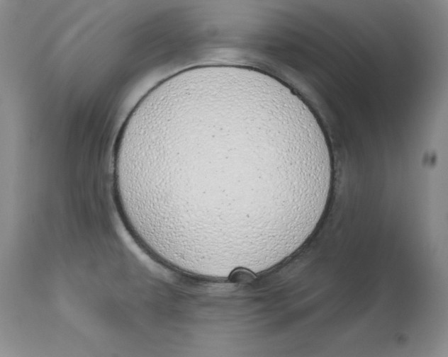 X0000114001479200910231741