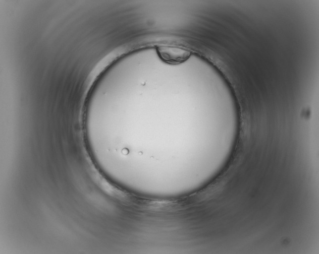 X0000114001482200910231741