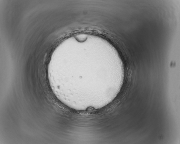 X0000114001489200910231740