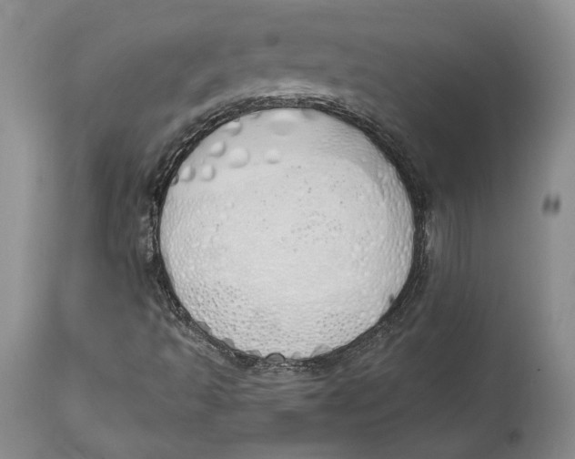 X0000114001493200910231740