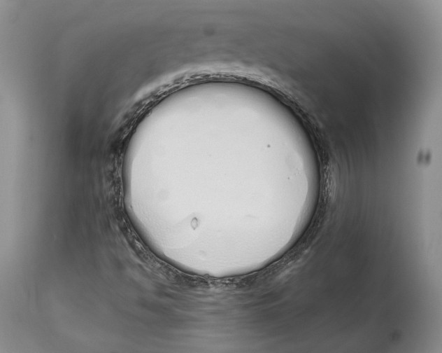 X0000114001494200910231740