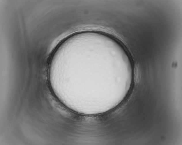 X0000114001501200910231740