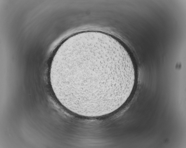 X0000114001502200910231740