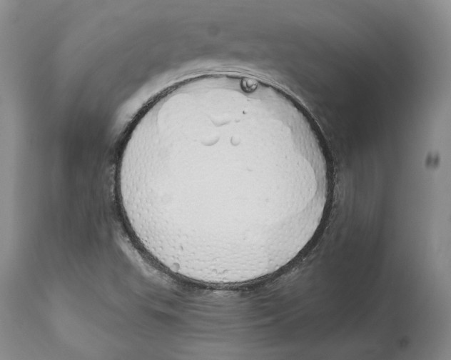 X0000114001503200910231740
