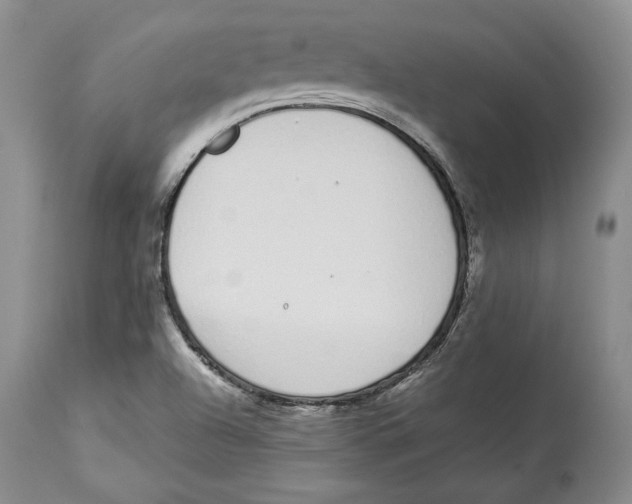 X0000114001504200910231740