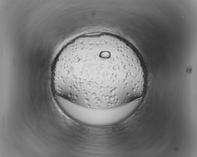 X0000114001508200910231740