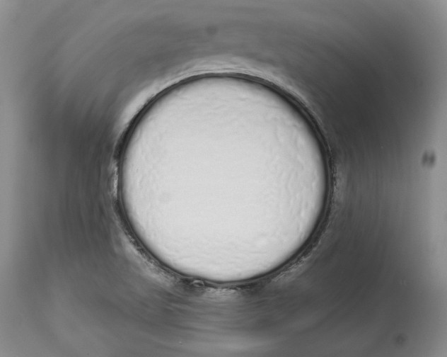 X0000114001509200910231740