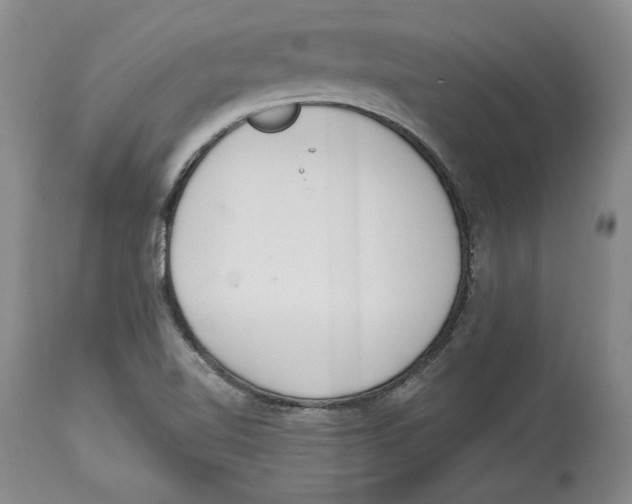 X0000114001510200910231740