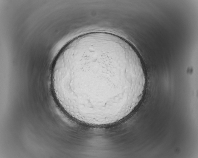 X0000114001511200910231740