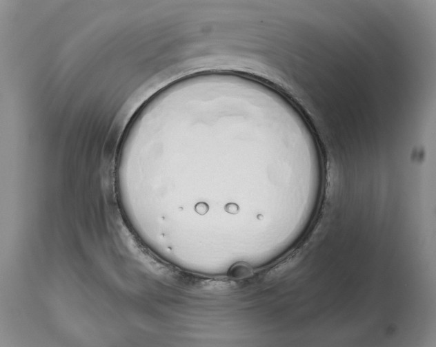 X0000114001513200910231740