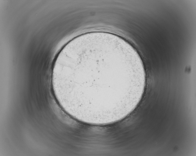 X0000114001514200910231740