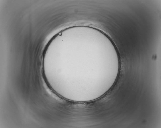 X0000114001515200910231740