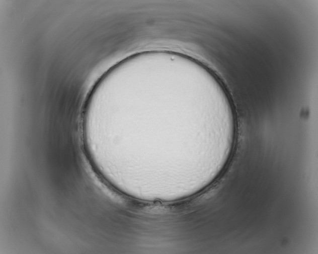 X0000114001517200910231740