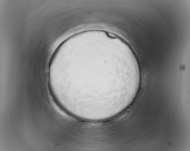 X0000114001519200910231740