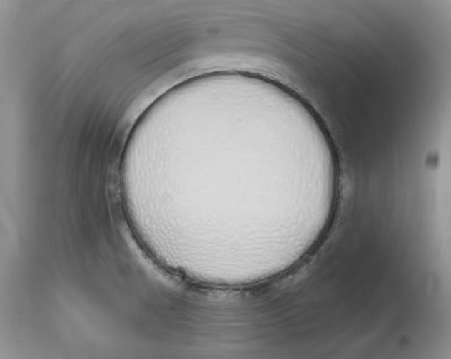 X0000114001521200910231740