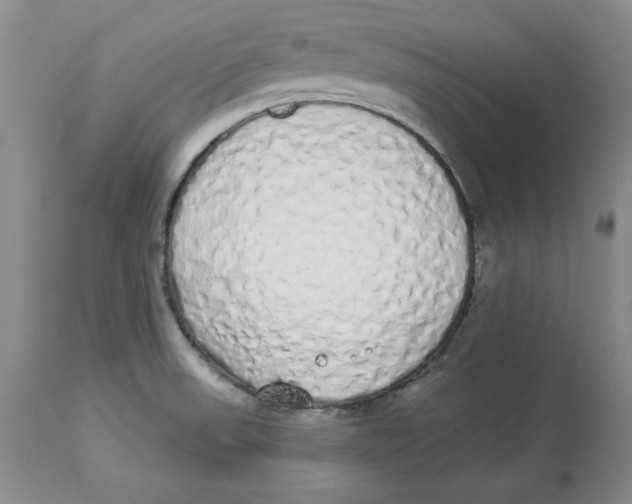 X0000114001523200910231740