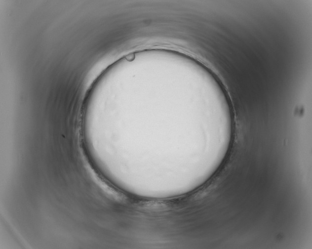 X0000114001525200910231740