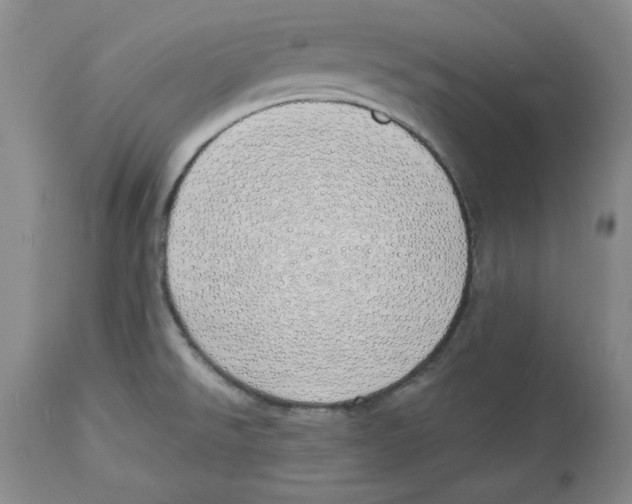 X0000114001526200910231740