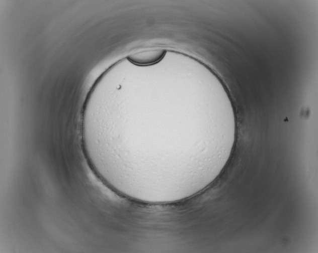 X0000114001527200910231740