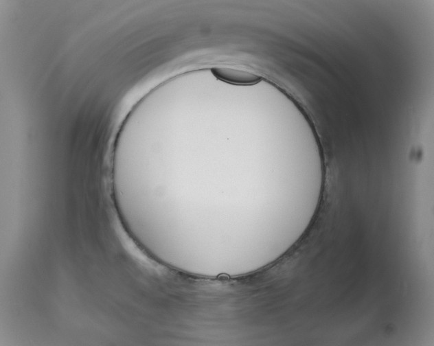 X0000114001528200910231740