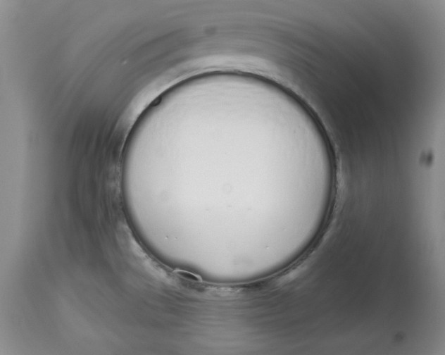 X0000114001529200910231740
