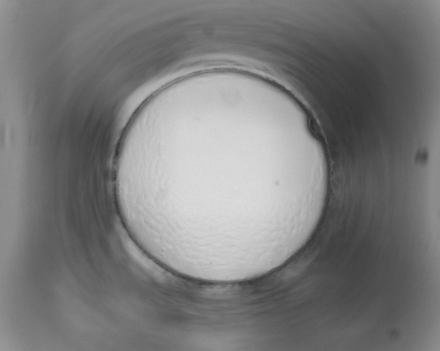 X0000114001535200910231740