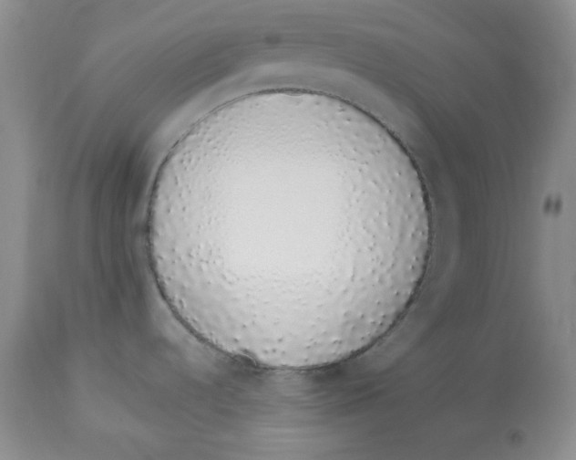 X0000114001536200910231740