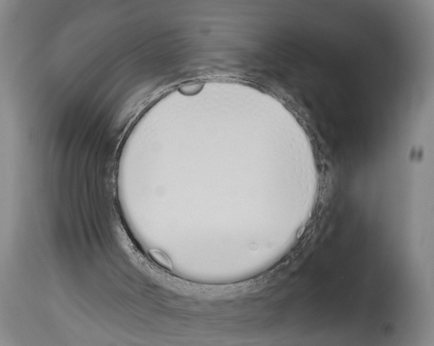 X0000114000002200911131151