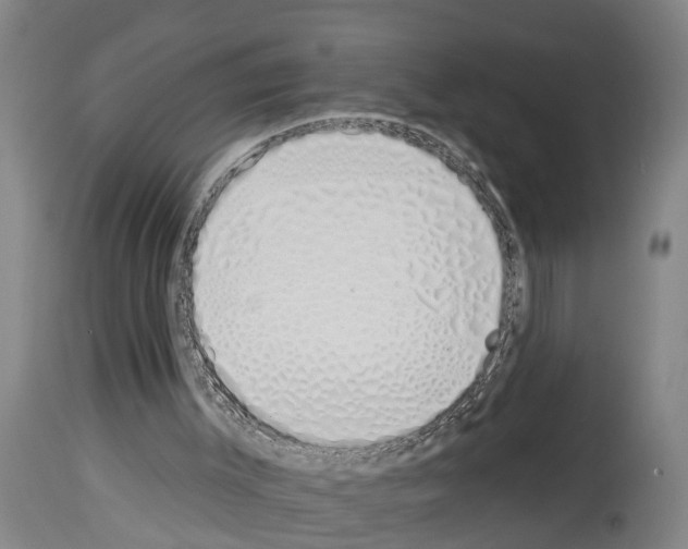 X0000114000003200911131151