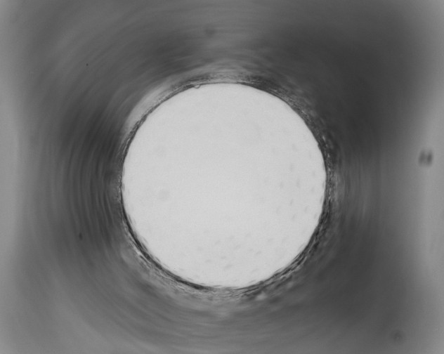 X0000114000004200911131151