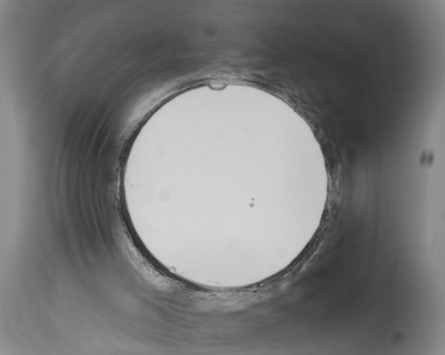 X0000114000005200911131151