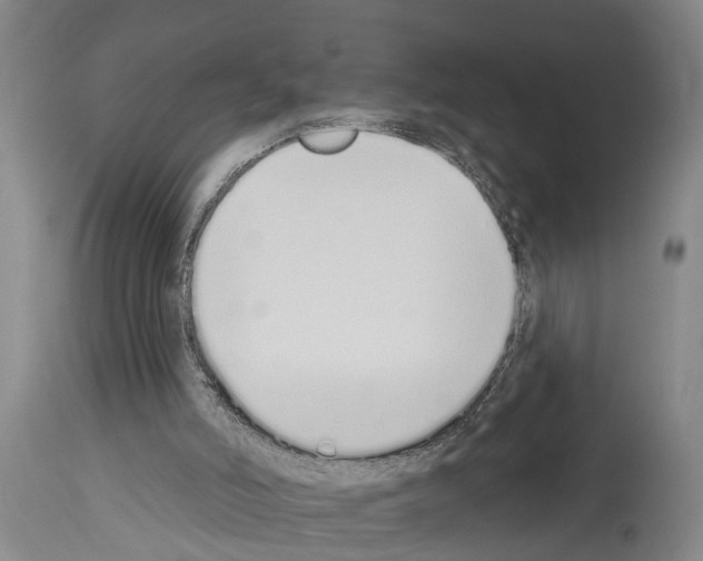 X0000114000006200911131151