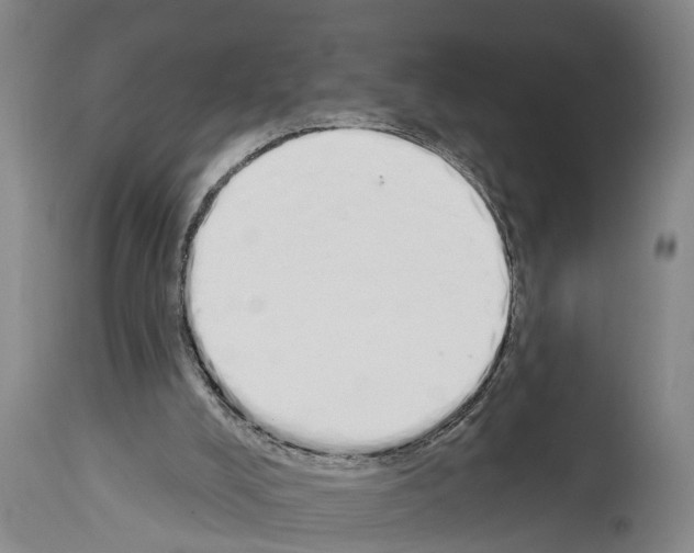 X0000114000008200911131151
